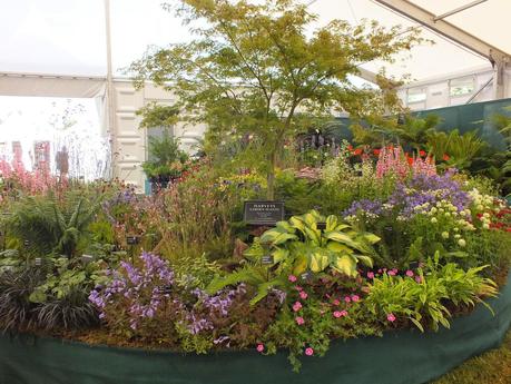 RHS Hampton Court Flower Show 2014 - Floral Marquee RHS Hampton Court Flower Show 2014 - Floral Marquee