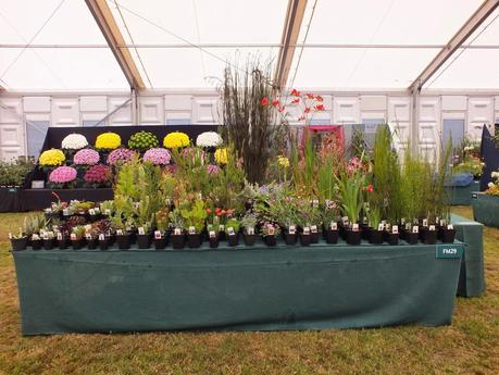 RHS Hampton Court Flower Show 2014 - Floral Marquee RHS Hampton Court Flower Show 2014 - Floral Marquee