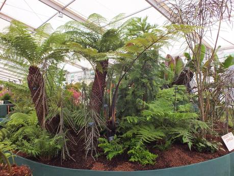 RHS Hampton Court Flower Show 2014 - Floral Marquee RHS Hampton Court Flower Show 2014 - Floral Marquee