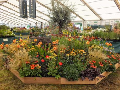RHS Hampton Court Flower Show 2014 - Floral Marquee RHS Hampton Court Flower Show 2014 - Floral Marquee