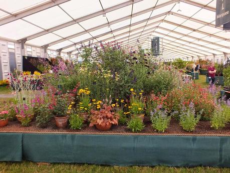 RHS Hampton Court Flower Show 2014 - Floral Marquee RHS Hampton Court Flower Show 2014 - Floral Marquee