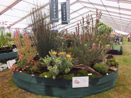 RHS Hampton Court Flower Show 2014 - Floral Marquee RHS Hampton Court Flower Show 2014 - Floral Marquee