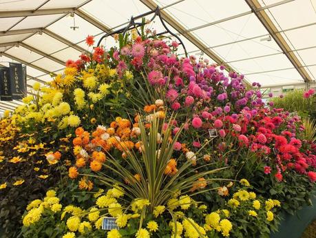 RHS Hampton Court Flower Show 2014 - Floral Marquee RHS Hampton Court Flower Show 2014 - Floral Marquee