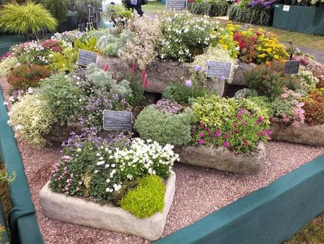 RHS Hampton Court Flower Show 2014 - Floral Marquee RHS Hampton Court Flower Show 2014 - Floral Marquee