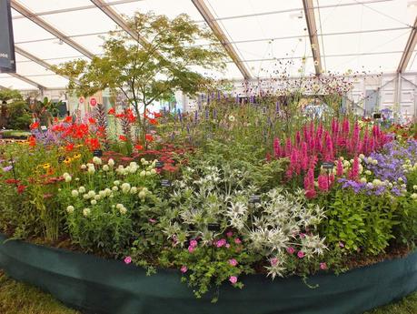 RHS Hampton Court Flower Show 2014 - Floral Marquee RHS Hampton Court Flower Show 2014 - Floral Marquee