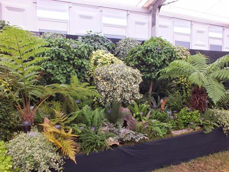 RHS Hampton Court Flower Show 2014 - Floral Marquee RHS Hampton Court Flower Show 2014 - Floral Marquee