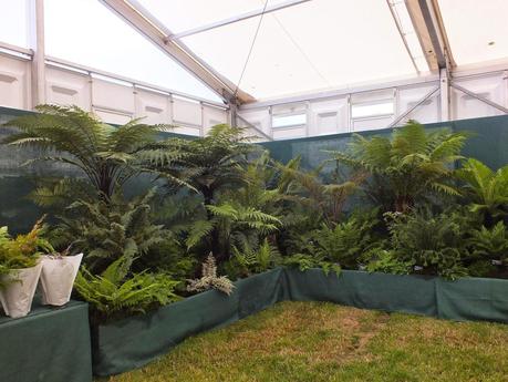 RHS Hampton Court Flower Show 2014 - Floral Marquee RHS Hampton Court Flower Show 2014 - Floral Marquee