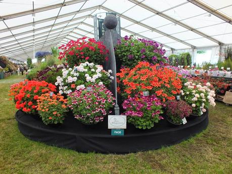 RHS Hampton Court Flower Show 2014 - Floral Marquee RHS Hampton Court Flower Show 2014 - Floral Marquee