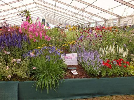 RHS Hampton Court Flower Show 2014 - Floral Marquee RHS Hampton Court Flower Show 2014 - Floral Marquee