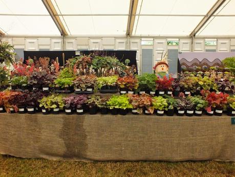 RHS Hampton Court Flower Show 2014 - Floral Marquee RHS Hampton Court Flower Show 2014 - Floral Marquee