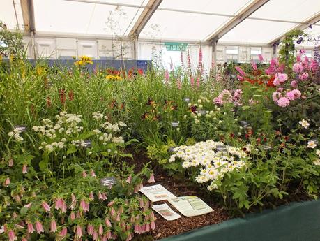 RHS Hampton Court Flower Show 2014 - Floral Marquee RHS Hampton Court Flower Show 2014 - Floral Marquee