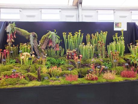 RHS Hampton Court Flower Show 2014 - Floral Marquee RHS Hampton Court Flower Show 2014 - Floral Marquee