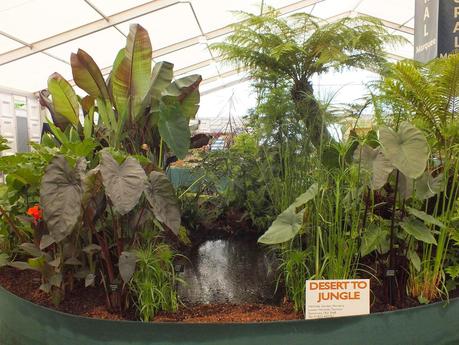 RHS Hampton Court Flower Show 2014 - Floral Marquee RHS Hampton Court Flower Show 2014 - Floral Marquee