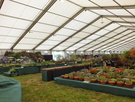 RHS Hampton Court Flower Show 2014 - Floral Marquee RHS Hampton Court Flower Show 2014 - Floral Marquee