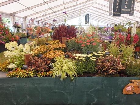 RHS Hampton Court Flower Show 2014 - Floral Marquee RHS Hampton Court Flower Show 2014 - Floral Marquee