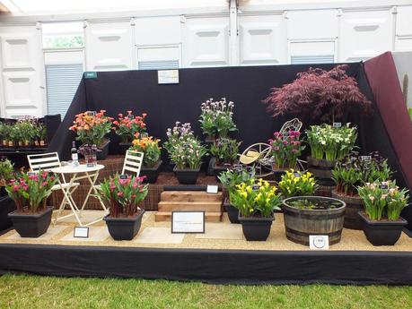 RHS Hampton Court Flower Show 2014 - Floral Marquee RHS Hampton Court Flower Show 2014 - Floral Marquee