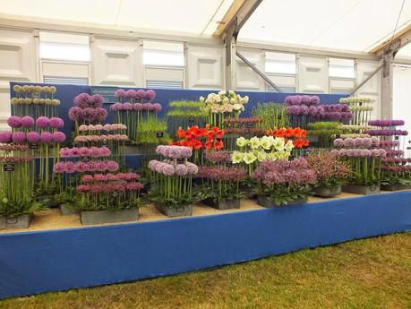 RHS Hampton Court Flower Show 2014 - Floral Marquee RHS Hampton Court Flower Show 2014 - Floral Marquee