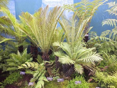 RHS Hampton Court Flower Show 2014 - Floral Marquee RHS Hampton Court Flower Show 2014 - Floral Marquee