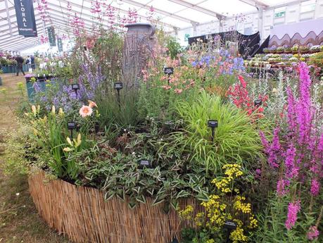 RHS Hampton Court Flower Show 2014 - Floral Marquee RHS Hampton Court Flower Show 2014 - Floral Marquee