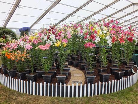 RHS Hampton Court Flower Show 2014 - Floral Marquee RHS Hampton Court Flower Show 2014 - Floral Marquee