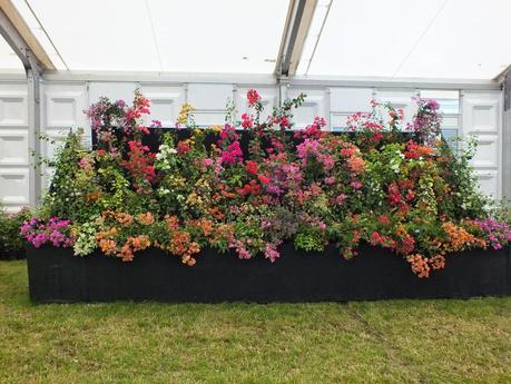 RHS Hampton Court Flower Show 2014 - Floral Marquee RHS Hampton Court Flower Show 2014 - Floral Marquee