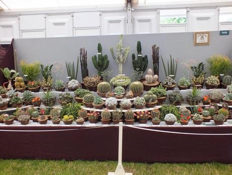 RHS Hampton Court Flower Show 2014 - Floral Marquee RHS Hampton Court Flower Show 2014 - Floral Marquee