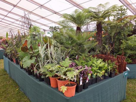 RHS Hampton Court Flower Show 2014 - Floral Marquee RHS Hampton Court Flower Show 2014 - Floral Marquee