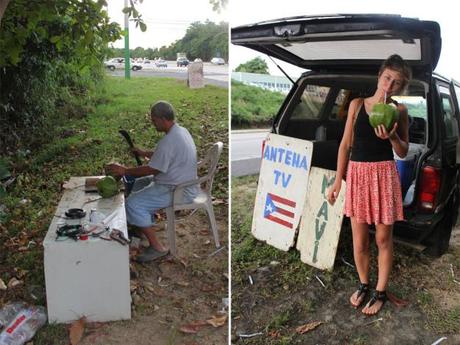 A Wednesday Wander: Produce in Puerto Rico Quelcy and the Coconut Stand