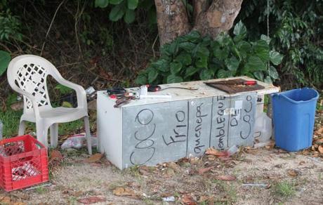 A Wednesday Wander: Produce in Puerto Rico The Coconut Stand
