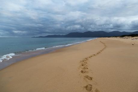 Five Mile Beach, Northern Circuit, Wilsons Promontory, Victoria. April 2014.