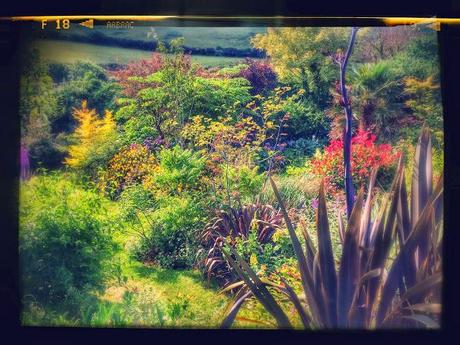 Gardens of North Devon