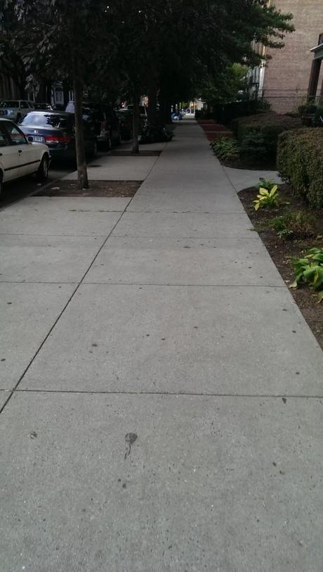 Life In Pictures IMAG2469