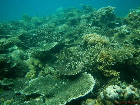 Tour C El Nido Palawan Island Hopping Adventure: Of Nature’s Secrets and Art Tour C El Nido Palawan Island Hopping