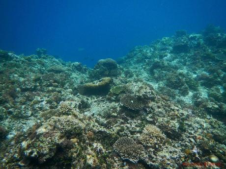 Tour C El Nido Palawan Island Hopping Adventure: Of Nature’s Secrets and Art Tour C El Nido Palawan Island Hopping