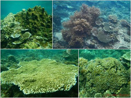 Tour C El Nido Palawan Island Hopping Adventure: Of Nature’s Secrets and Art Tour C El Nido Palawan Island Hopping