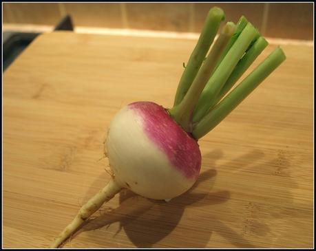 Harvest Monday - 14th July 2014 Harvest Monday - 14th July 2014