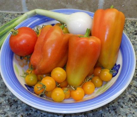 I picked 3 sweet peppers, 1 