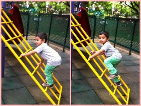 {Almost} Wordless Wednesday: Photographing the Piglet Still more climbing