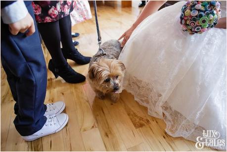Bride storkes dog for Up themed wedding
