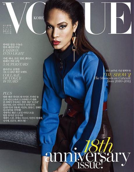 9-Joan-Smalls-Lily-Donaldson-Candice-Swanepoel-Anja-Rubik-and-Karen-Elson-for-Vogue-Korea-August-2014