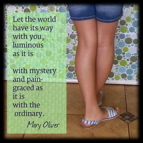 Ordinary quote mary oliver