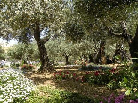 Two Gardens: Eden and Gethsemane
