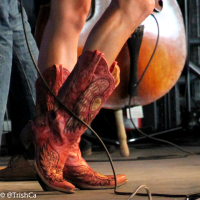 The Stone Sparrows Boots and Hearts 2013 Cowboy Boots