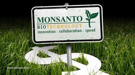 How Monsanto and biotech companies violate the Nuremberg Code