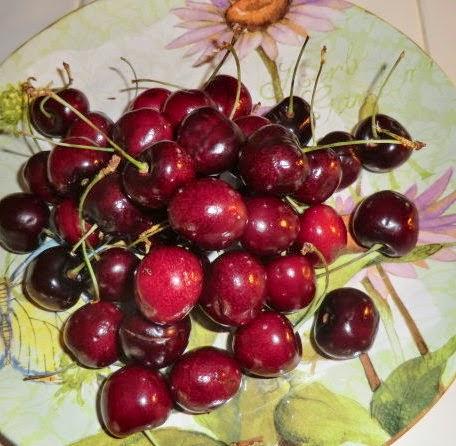 Gardening Question Gardening Question