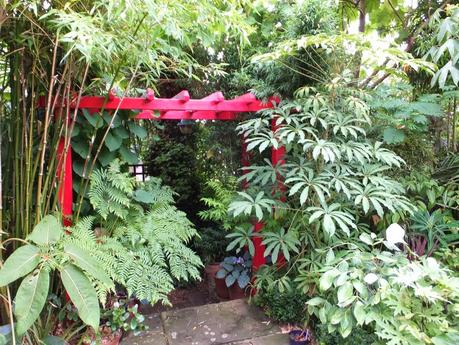 Rain - The Garden in July Rain - The Garden in July