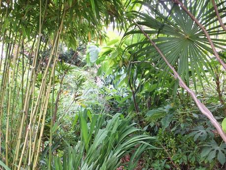 Rain - The Garden in July Rain - The Garden in July