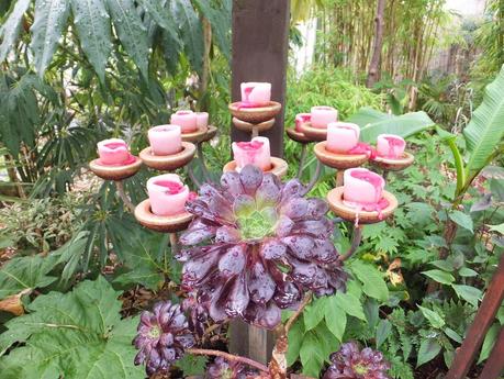 Rain - The Garden in July Rain - The Garden in July