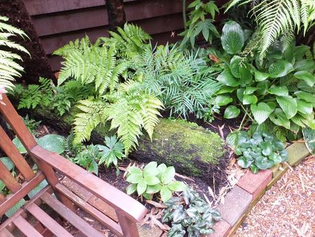 Rain - The Garden in July Rain - The Garden in July