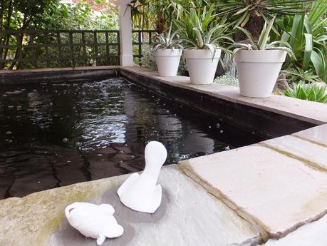 Rain - The Garden in July Rain - The Garden in July